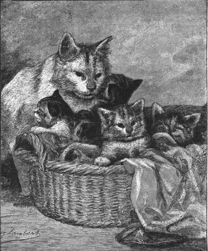 cat looking at kittens in basket