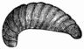 Fig. 321.—Larva of the Bee (magnified).