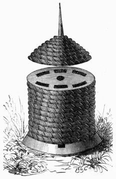 Fig. 325.—Bell-shaped hive.
