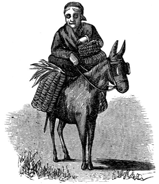 Lady on donkey