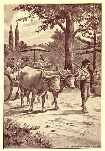 boy leading team of oxen pulling cart