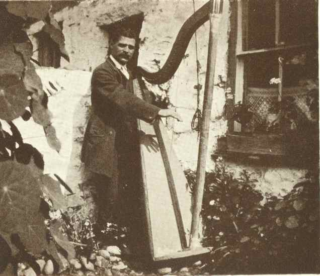 A Gypsy Harpist.  Photo. W. Ferguson