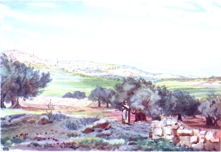 BETHLEHEM FROM THE SHEEPFOLD, FIELD OF BOAZ

The town is shown on a hill. The Convent of the Nativity stands to the
extreme left. Field of Boaz with green wheat in middle distance,
enclosure of sheepfold in foreground.