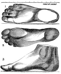measuring feet