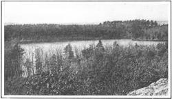 From Walden,by courtesy of Houghton Mifflin Company View of Walden Pond from Emerson's Cliff