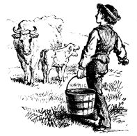 Boy carrying pail heading toward cow and calf