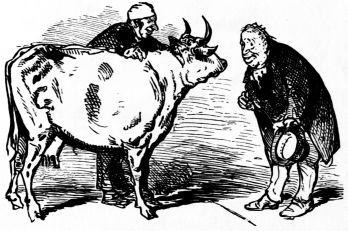 man looking into cow's face