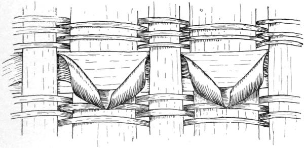 The curlicue or roll, in Scatticook baskets