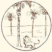 boy in palm tree above lion
