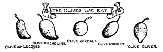 THE OLIVES WE EAT
OLIVE de LUCQUES
OLIVE PECHELINE
OLIVE VERDALE
OLIVE ROUGET
OLIVE OLIVER