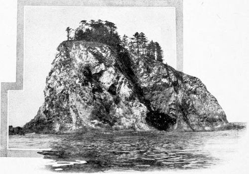 From a Photograph Copyright, 1907, by W. L. Dawson.
CARROLL ISLET—SOUTH EXPOSURE.
WHERE THE FIRST NEST OF THE SOOTY FOX SPARROW WAS FOUND.