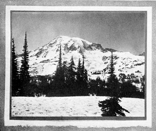 Taken in Rainier National Park. From a Photograph Copyright, 1908, by W. L. Dawson.
WITH UNCLOUDED BROW.
A HAUNT OF THE SLATE-COLORED SPARROW.