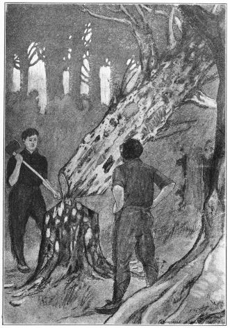 men chopping down tree