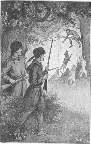 two boys looking at man treed by wolves