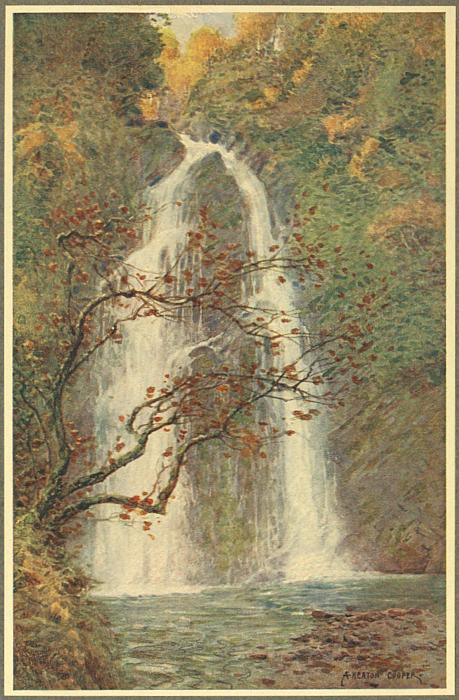 The Waterfall in Dhoon Glen
