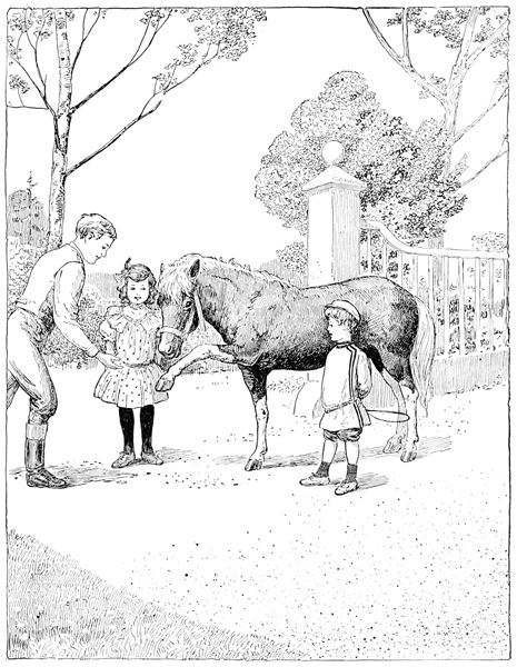 'Shake hands, pony,' said the coachman.