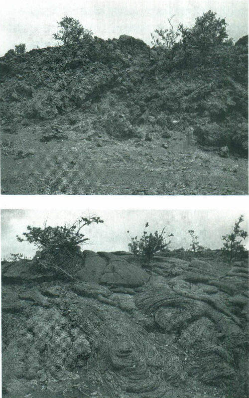 Two Polynesian terms are used to identify the surface character of Hawaiian lava flows. Aa, a basalt with a rough, blocky appearance, much like furnace slag, is shown at the top. Pahoehoe, a more fluid variety with a smooth, satiny and sometimes glassy appearance, is shown at the bottom.