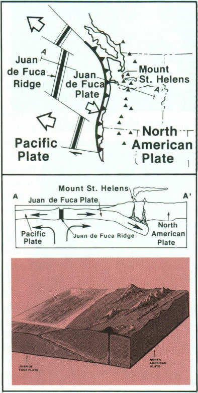 In the Pacific Northwest, the Juan de Fuca Plate plunges beneath the North American Plate, locally melting at depth; the magma rises to feed and form the Cascade volcanoes.