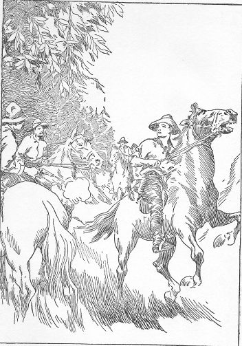 Frontispiece: Tad's Pony Leaped into the Air