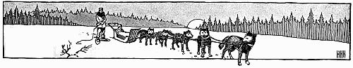 Drawing of dogsled