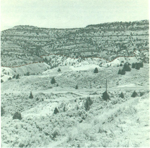 Fig. 10.—Ancient landscape on John Day Formation buried under Picture Gorge Basalt.
