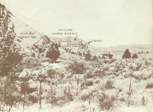Fig. 8.—Basalt dike two miles south of Kimberly.