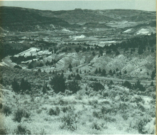 Fig. 9.—Northwest view down Cottonwood Creek toward Monument.