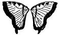 buttefly wings
