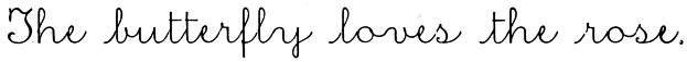 cursive: The butterfly loves the rose.