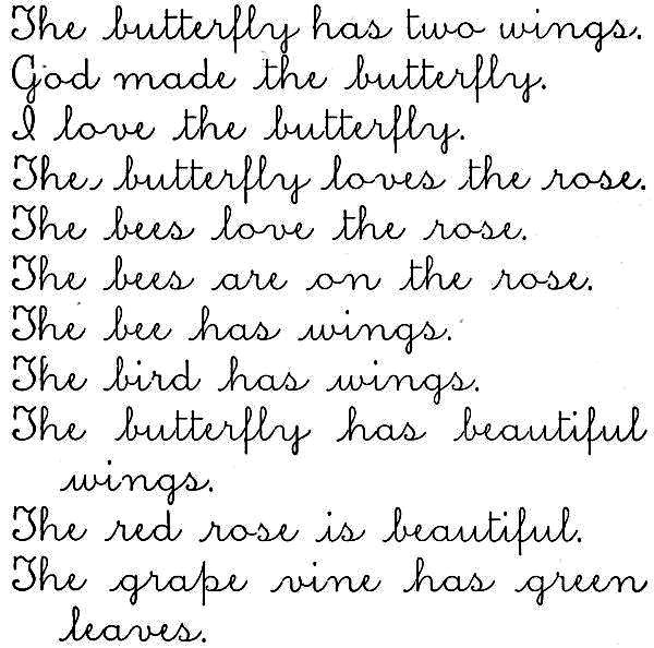 cursive: The butterfly has two wings. God made the butterfly. I love the butterfly. The butterfly loves the rose. The bees love the rose. The bees are on the rose. The bee has wings. The bird has wings. The butterfly has beautiful wings. The red rose is beautiful. The grape vine has green leaves.