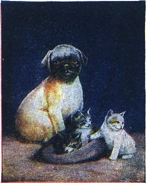 Pug dog and two kittens