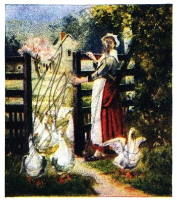 woman at gate with geese
