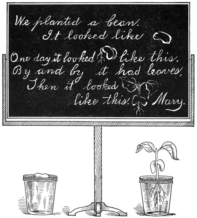 Cursive: We planted a bean. It looked like [drawing] One day it looked [drawing] like this. By and by it had leaves. Then it looked [drawing] like this. Mary.