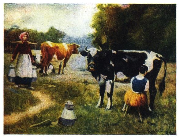 milk maids and cows