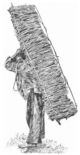 Fig. 7. Indian carrying load of bejuco.