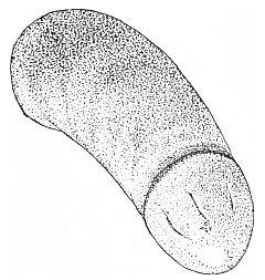 Fig. 17. Unpainted object from Mound No. 1.