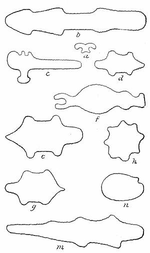 Fig. 49. Flint objects from Tennessee.