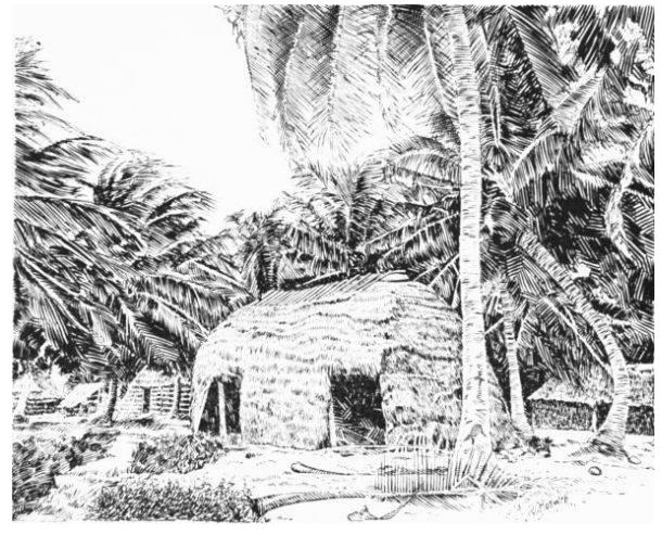 Plate 4 a. LEAF-THATCHED HOUSE.