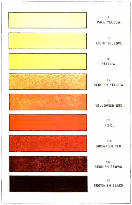 Scale of urinary colors, according to Vogel
