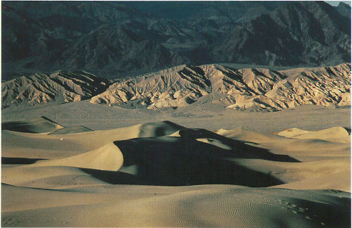 Sand dunes in Death Valley, California (photograph by Richard Frear).