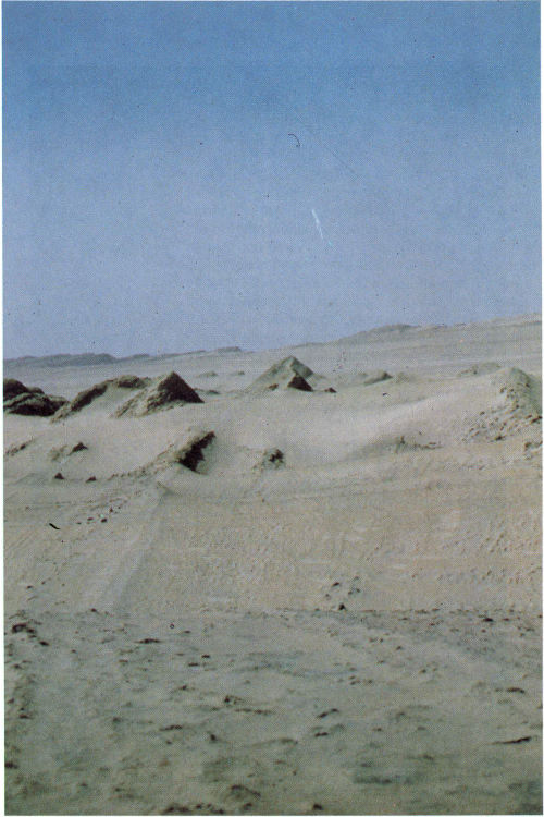Nitrate workings in a broad valley in the Atacama Desert of northern Chile, where saline-cemented surficial deposits formed near a playa lake (photograph by George Ericksen).