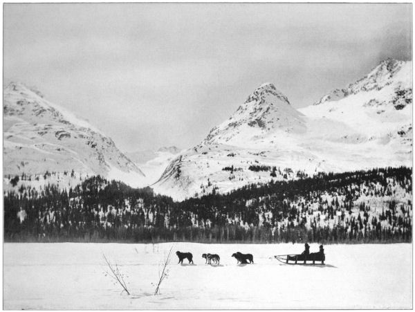 A dogsled travelling near forest and mountains