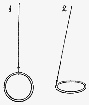 Two rings, labeled 1 and 2.