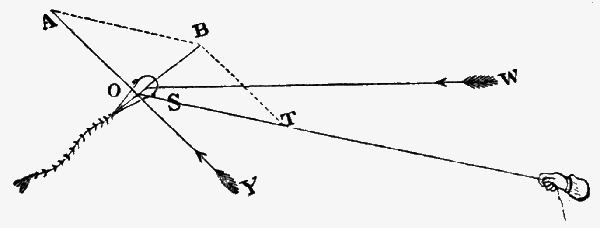 Diagram of a kite labeled with A, B, O, S, T, W, and Y.