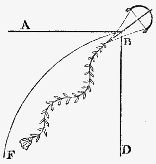 Diagram showing arc of fall trajectory.