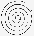 Simple spiral shape.