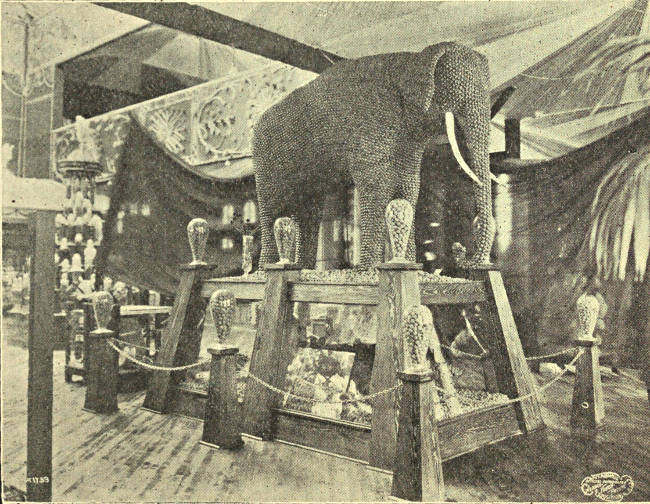 WALNUT ELEPHANT, LIFE SIZE, CALIFORNIA EXHIBIT, SEATTLE, 1909