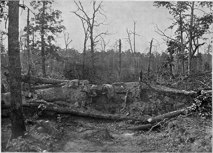 CONFEDERATE INTRENCHMENTS ON THE BATTLEFIELD