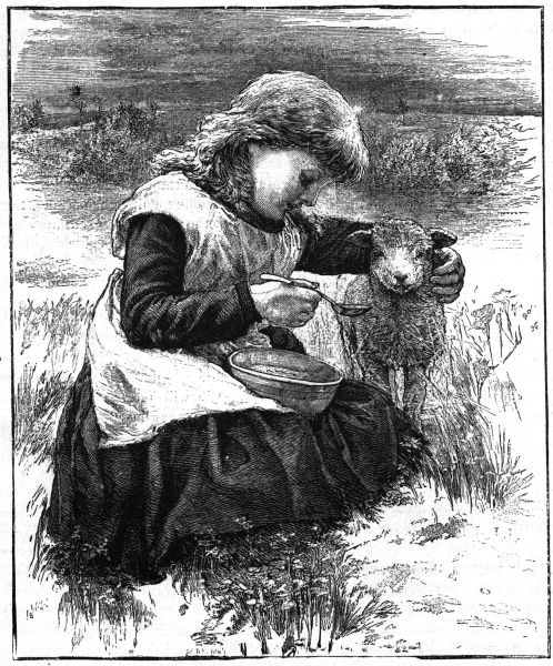 Feeding aunt Mary's lamb