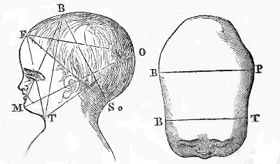Diameters
of the Head